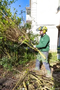 Jardinier de Passi’ Jardin arrachant les anciennes haies du jardin à Buc