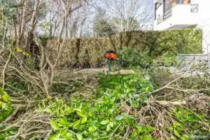 Branchages et végétaux coupés au sol avant évacuation à Buc