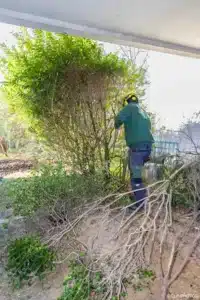 Jardinier de Passi’ Jardin attaquant une haie au début du chantier de Buc