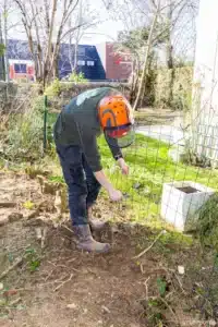 Jardinier casqué découpant des arbustes à la tronçonneuse à Buc