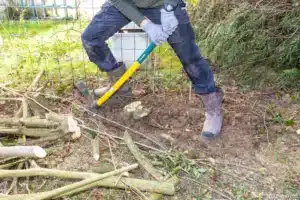 Extraction des souches et racines à la barre à mine après l’arrachage des haies à Buc