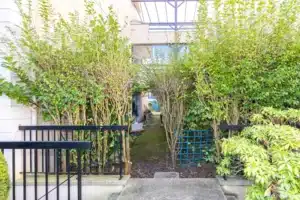 Petit jardin envahi par les haies et arbustes avant sa transformation à Buc