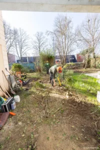 Bande de terre dégagée le long du jardin après l’arrachage des haies à Buc