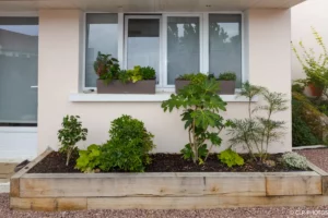 Jardinière en bois plantée d’arbustes le long de la façade d’une maison