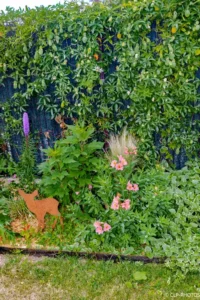 Massif fleuri au pied d’une haie dense