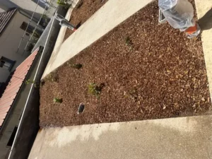 Massif paillé en pente au bord d’une allée de la cantine de Guerville