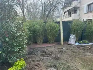 Massif planté de bambous près d’un poteau de la pergola à Buc