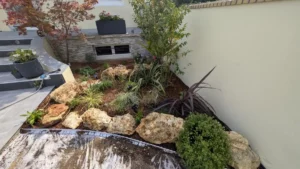 Massif de rocaille planté de graminées et d’arbustes au pied d’un mur