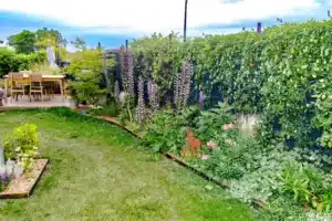 Massifs fleuris le long d’une haie, terrasse au fond