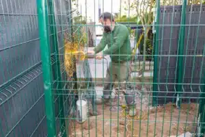 Jardinier installant un grillage rigide vert avec occultant dans un jardin à Buc