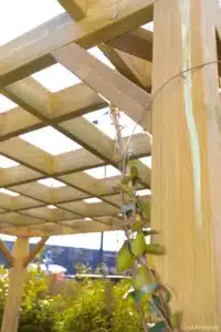 Détail de la structure en bois de la pergola en cours de montage à Buc