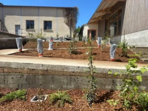 Vue d’ensemble des massifs plantés et paillés aux abords du bâtiment de la cantine de Guerville