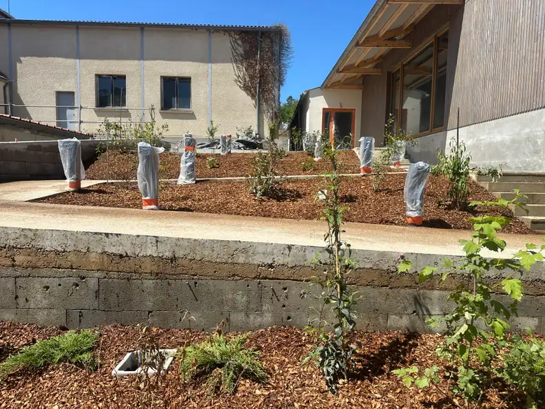 Vue d’ensemble des massifs plantés et paillés aux abords du bâtiment de la cantine de Guerville